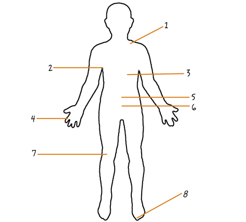 An outline of a body with the numbers 1-8 pointing to various parts