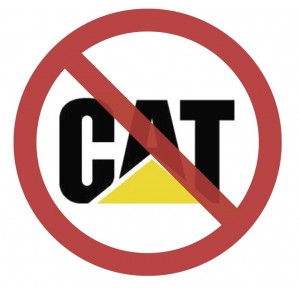 No CAT