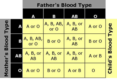 Blood type chart with Mother's Blood Type and Father's blood type labeling the rows and columns, resulting in 16 possible "Child's Blood Type"s